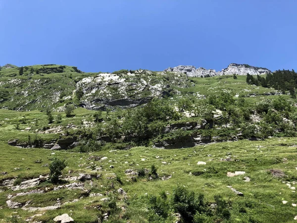 Alpine Hill Ebenalp Bergskedjan Alpstein Och Regionen Appenzellerland Kantonen Appenzell — Stockfoto