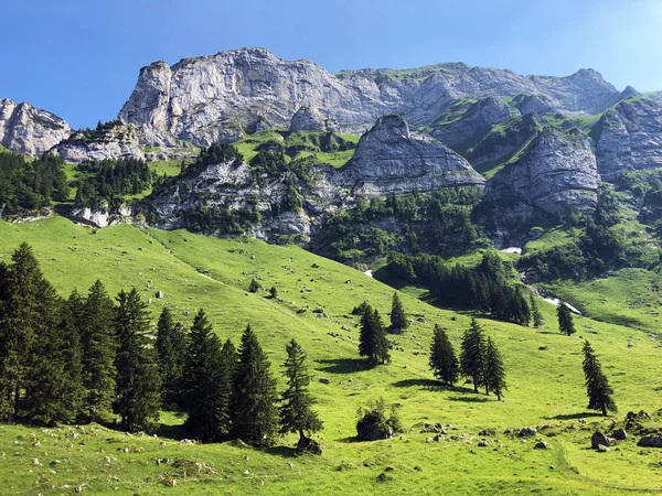 Alpstein Sıradağlarında Appenzellerland Bölgesinde Alp Zirvesi Schafberg Appenzell Innerrhoden Kantonu — Stok fotoğraf