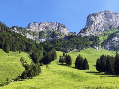 Alp dağları nın ve Appenzellerland bölgesinde Alp zirveleri Bogartenfirst ve Schafberg - Appenzell Innerrhoden Kantonu (Ai), İsviçre
