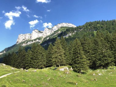 Alpstein sıradağlarında ve Appenzellerland bölgesinde Alp Sigel zirvesi - Appenzell Innerrhoden Kantonu (Ai), İsviçre