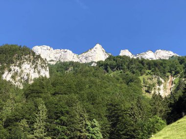 Alpstein sıradağlarında ve Appenzellerland bölgesinde Alp Sigel zirvesi - Appenzell Innerrhoden Kantonu (Ai), İsviçre
