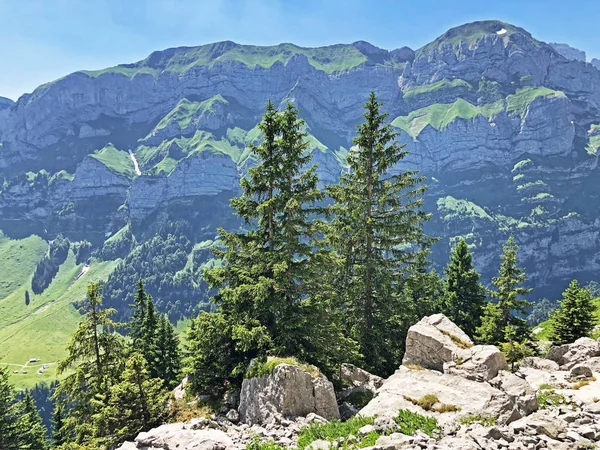 阿尔卑斯山峰沙夫贝格和马威斯在阿尔普施泰因山脉和阿彭策勒兰地区 阿彭策尔内霍登州 — 图库照片