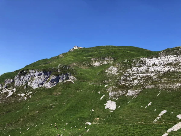 Pico Alpino Schafler Schaefler Cordillera Alpstein Cantón Appenzell Innerrhoden Suiza — Foto de Stock