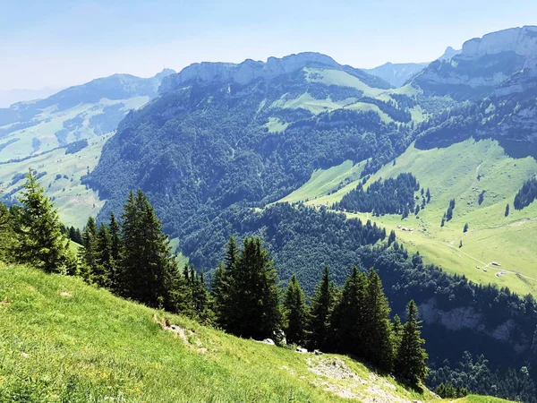 Alpine Peaks Alp Sigel Bogartenfirst Alpsteinberg Keten Regio Appenzellerland Kanton — Stockfoto
