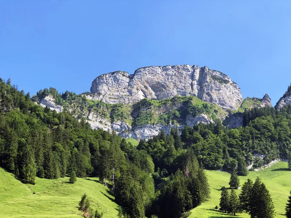 Cima Alpina Bogartenfirst Nella Catena Montuosa Alpstein Nella Regione Appenzellerland — Foto Stock