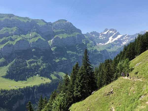 Alpstein Sıradağlarının Alp Manzarası Kayalık Zirveleri Appenzell Innerrhoden Kantonu Sviçre — Stok fotoğraf