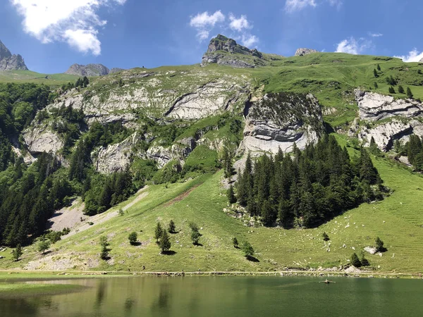 Sommet Alpin Schafler Schaefler Dans Chaîne Montagnes Alpstein Dans Région — Photo