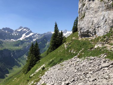 Alpstein ve Appenzellerland bölgesinde dağ masifinin taşları ve kayaları - Appenzell Innerrhoden Kantonu (Ai), İsviçre