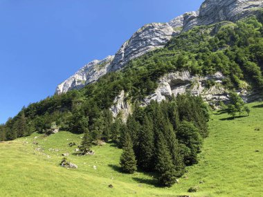 Alpstein sıradağları ve Appenzellerland bölgesinde yaprak döken ağaçlar ve ormanlar - Appenzell Innerrhoden Kantonu (Ai), İsviçre