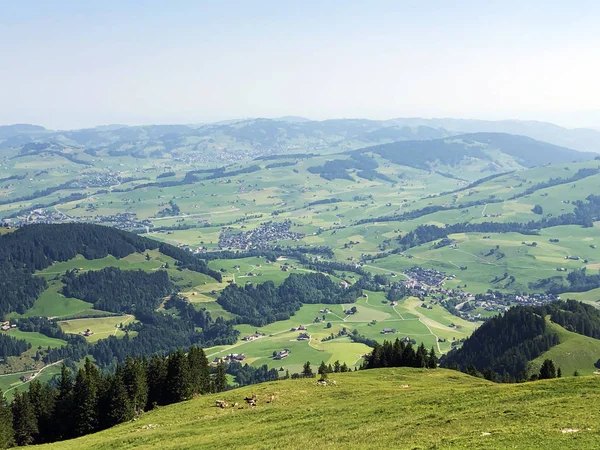 Dolina Strumienia Schwendebach Regionie Appenzellerland Canton Appenzell Innerrhoden Szwajcaria — Zdjęcie stockowe