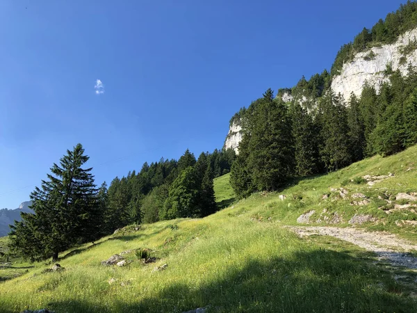 Opadavé Stromy Lesy Pohoří Alpstein Oblasti Appenzellerland Kanton Appenzell Innerrhoden — Stock fotografie