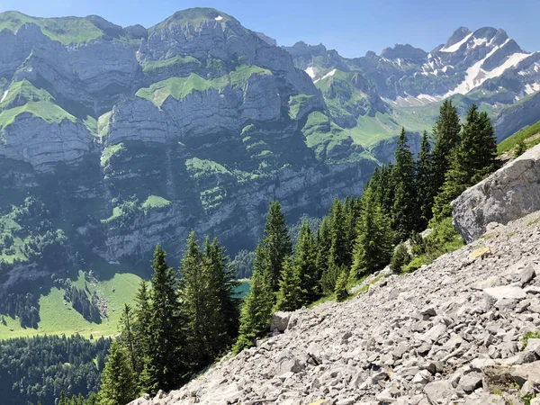Alberi Foreste Decidue Nella Catena Montuosa Alpstein Nella Regione Appenzellerland — Foto Stock