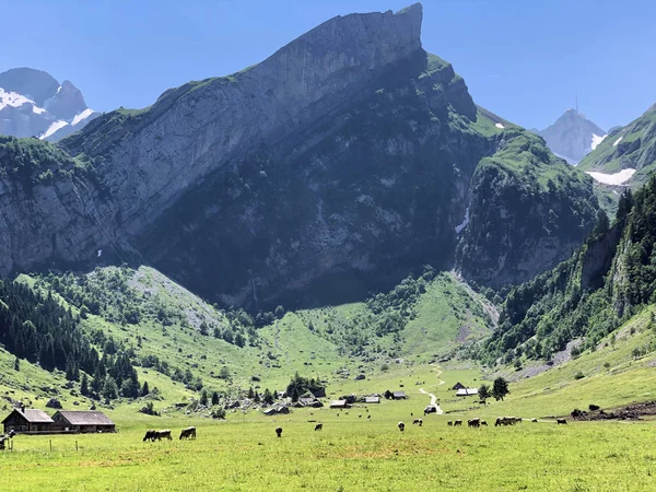 Valle Alpino Pastos Montaña Alpsee Cordillera Alpstein Región Appenzellerland Cantón — Foto de Stock