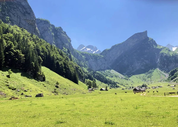 Valle Alpino Pastos Montaña Alpsee Cordillera Alpstein Región Appenzellerland Cantón — Foto de Stock