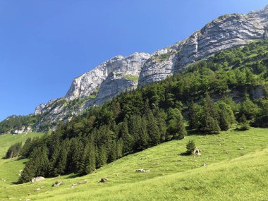 Alpstein sıradağları ve Appenzellerland bölgesinde karışık ağaçlar ve ormanlar - Appenzell Innerrhoden Kantonu (Ai), İsviçre