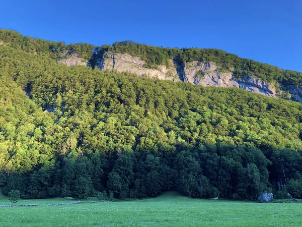 Árboles Caducifolios Bosques Cordillera Alpstein Región Appenzellerland Cantón Appenzell Innerrhoden —  Fotos de Stock