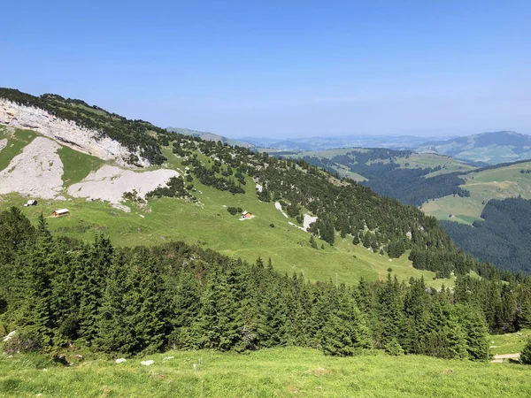 Smíšené Stromy Lesy Pohoří Alpstein Oblasti Appenzellerland Kanton Appenzell Innerrhoden — Stock fotografie