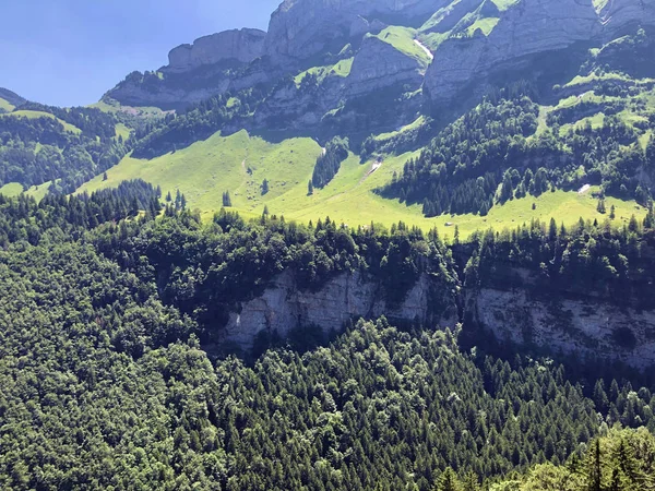 Smíšené Stromy Lesy Pohoří Alpstein Oblasti Appenzellerland Kanton Appenzell Innerrhoden — Stock fotografie