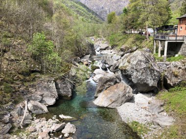 Maggia Vadisi 'ndeki Maggia Nehri veya Valle Maggia veya Maggiatal (Fluss Maggia im Maggiatal)-Ticino, Isviçre