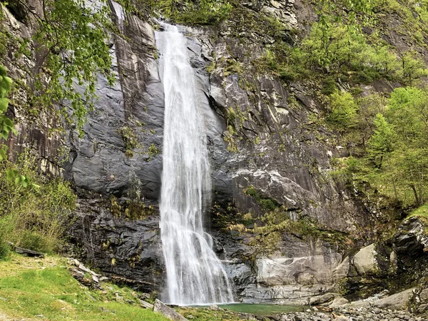 Waterfall Grande Cascata Bignasco Cascata Grande Bignasco Maggia Valley Valle — Stock Photo, Image