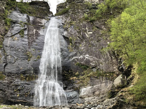 Vattenfall Grande Eller Cascata Bignasco Eller Cascata Grande Bignasco Den — Stockfoto