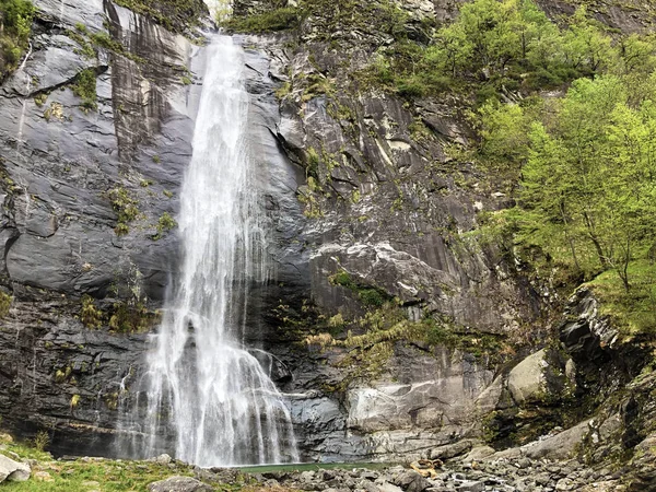 Waterfall Grande Cascata Bignasco Cascata Grande Bignasco Maggia Valley Valle — Stock Photo, Image