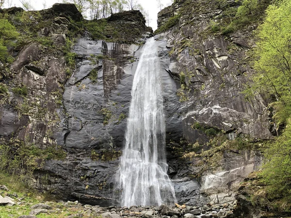 Cachoeira Grande Cascata Bignasco Cascata Grande Bignasco Vale Maggia Valle — Fotografia de Stock