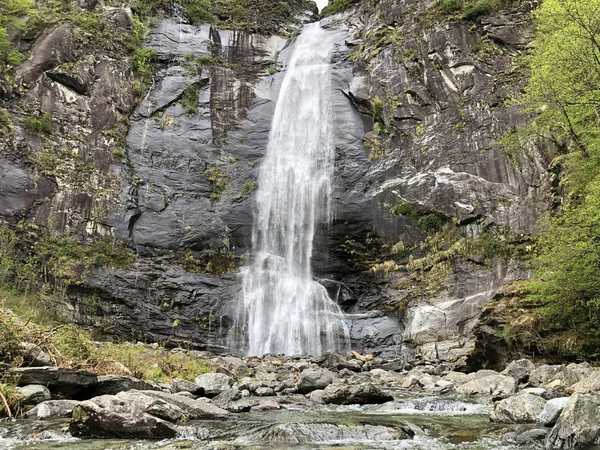 Cascade Grande Cascata Bignasco Cascata Grande Bignasco Vallée Maggia Valle — Photo