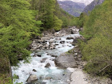 Bavona Vadisi'ndeki Bavona nehri veya Valle Bavona (Val Bavona veya Das Bavonatal), Cavergno - Ticino Kantonu, İsviçre