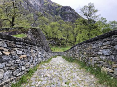 Bavona Nehri üzerindeki eski Roma taş köprüsü (Bavona Vadisi veya Valle Bavona, Val Bavona veya Das Bavonatal), Fontana - Ticino Kantonu, İsviçre