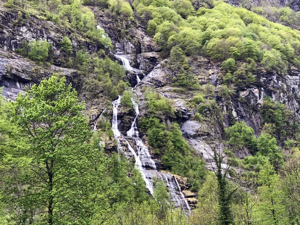 Cachoeira Riacho Cranzunasc Cranzuenasc Vale Bavona Valle Bavona Val Bavona — Fotografia de Stock