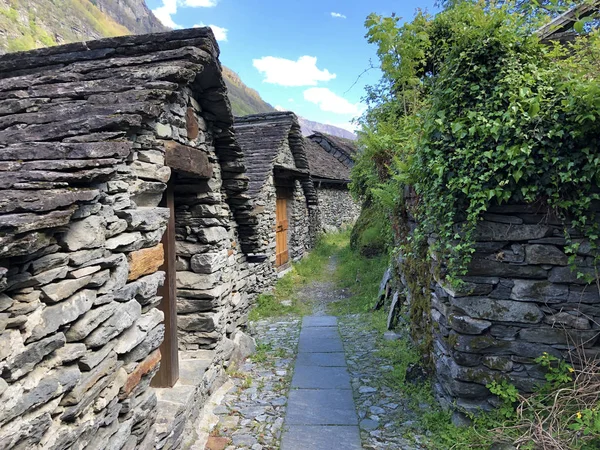 Arquitectura Tradicional Casas Antiguas Aldea Del Boschetto Valle Del Rovana —  Fotos de Stock