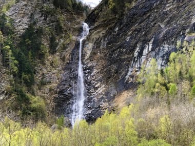 Dere üzerinde şelale ri di Cris, Piano di Peccia (Maggia Vadisi veya Valle Maggia veya Maggiatal)-Ticino, Isviçre