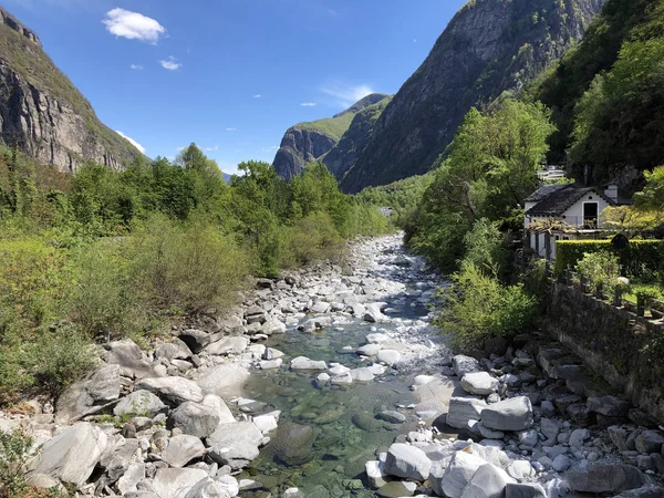 Stream Rovana Fiume Rovana Rovana Valley Valle Rovana Val Rovana — Stock Photo, Image