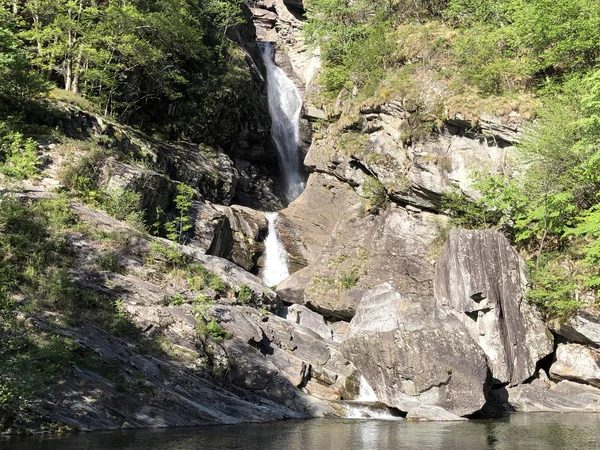 Cascade Cascata Giumaglio Wasserfall Cascata Giumaglio Giumaglio Vallée Maggia Valle — Photo