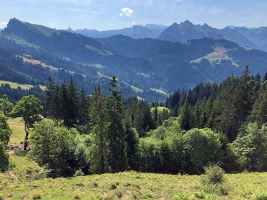 Sihlsee Gölü vadisinde geleneksel mimari ve çiftlik evi, Willerzell-Schwyz Kantonu, Isviçre