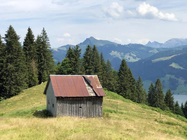 シルゼー湖の谷にある伝統的な建築と農家 グロス シュヴィーツ州 スイス — ストック写真
