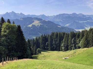 Sihlsee Gölü Vadisi 'nde karışık ormanlar, Einsiedeln-Schwyz Kantonu, Isviçre