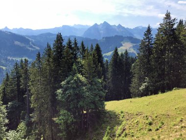 Sihlsee Gölü Vadisi 'nde karışık ormanlar, Einsiedeln-Schwyz Kantonu, Isviçre