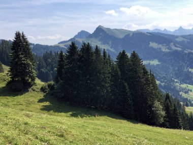 Sihlsee Gölü Vadisi 'nde karışık ormanlar, Einsiedeln-Schwyz Kantonu, Isviçre