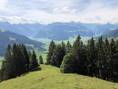 Sihlsee Gölü Vadisi 'nde karışık ormanlar, Einsiedeln-Schwyz Kantonu, Isviçre