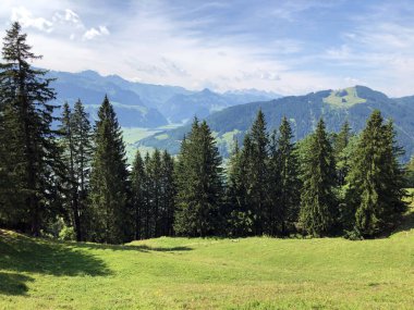 Sihlsee Gölü Vadisi 'nde karışık ormanlar, Einsiedeln-Schwyz Kantonu, Isviçre