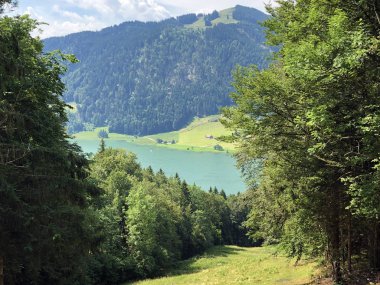 Sihlsee Gölü Vadisi 'nde karışık ormanlar, Einsiedeln-Schwyz Kantonu, Isviçre