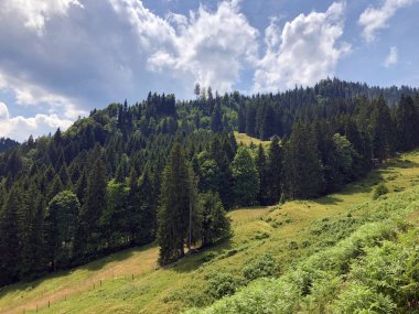 Sihlsee Gölü Vadisi 'nde karışık ormanlar, Einsiedeln-Schwyz Kantonu, Isviçre