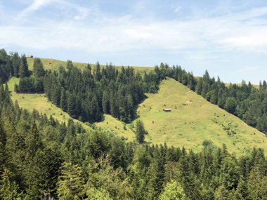 Sihlsee Gölü Vadisi 'nde karışık ormanlar, Einsiedeln-Schwyz Kantonu, Isviçre