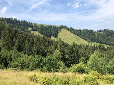 Sihlsee Gölü Vadisi 'nde karışık ormanlar, Einsiedeln-Schwyz Kantonu, Isviçre