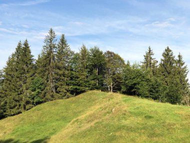 Sihlsee Gölü Vadisi 'nde karışık ormanlar, Einsiedeln-Schwyz Kantonu, Isviçre