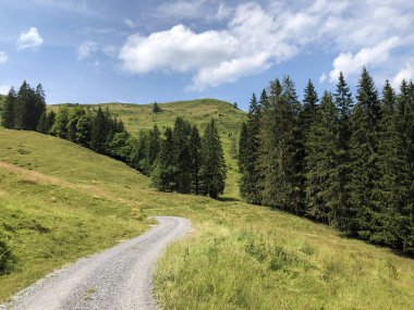 Sihlsee Gölü Vadisi 'nde karışık ormanlar, Einsiedeln-Schwyz Kantonu, Isviçre