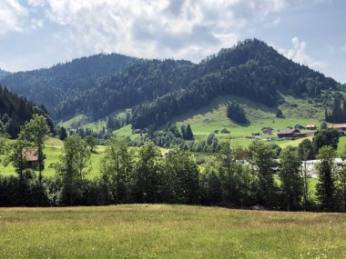 Sihlsee Gölü Vadisi 'nde karışık ormanlar, Einsiedeln-Schwyz Kantonu, Isviçre