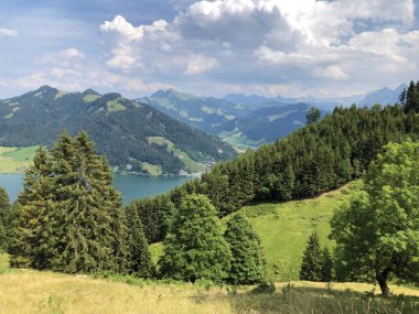 Sihlsee Gölü Vadisi 'nde karışık ormanlar, Einsiedeln-Schwyz Kantonu, Isviçre